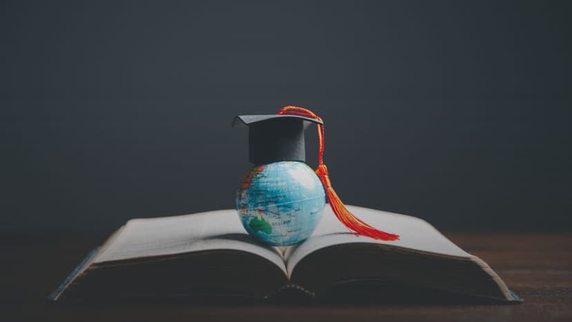 How Redseer’s CDD De-Risked a Global Bank’s Investment in a Study Abroad EdTech Firm