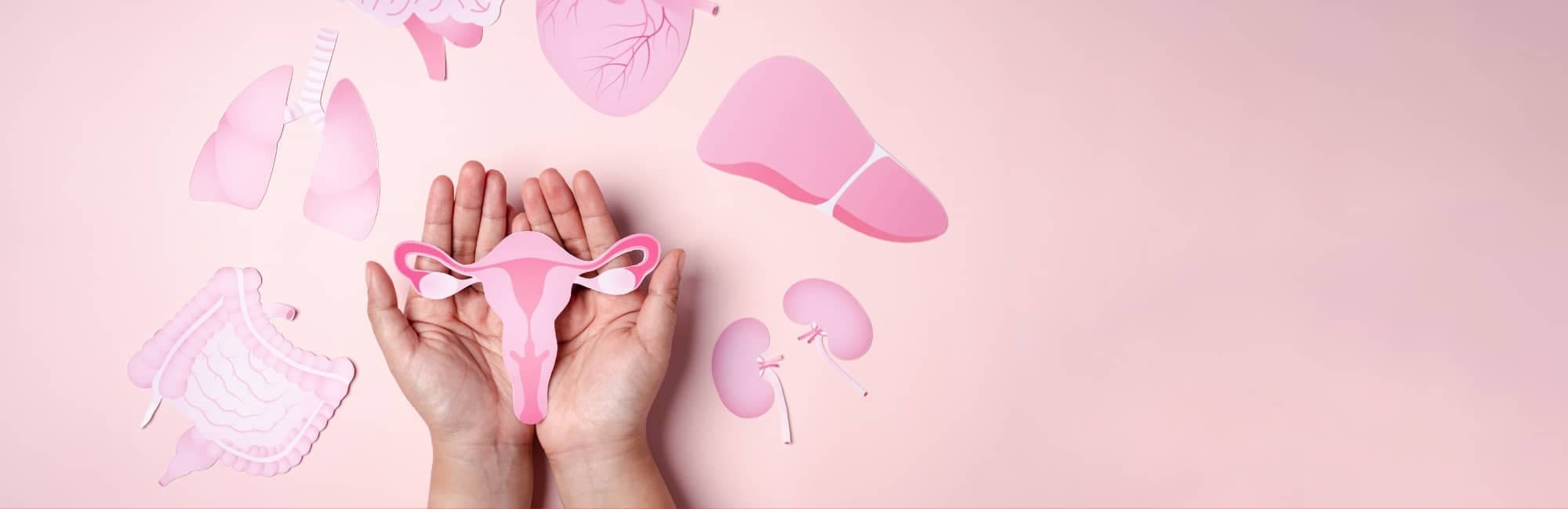 Gen X India consumer focus on menopause care, representing rising awareness and demand for women’s mid-life health solutions.